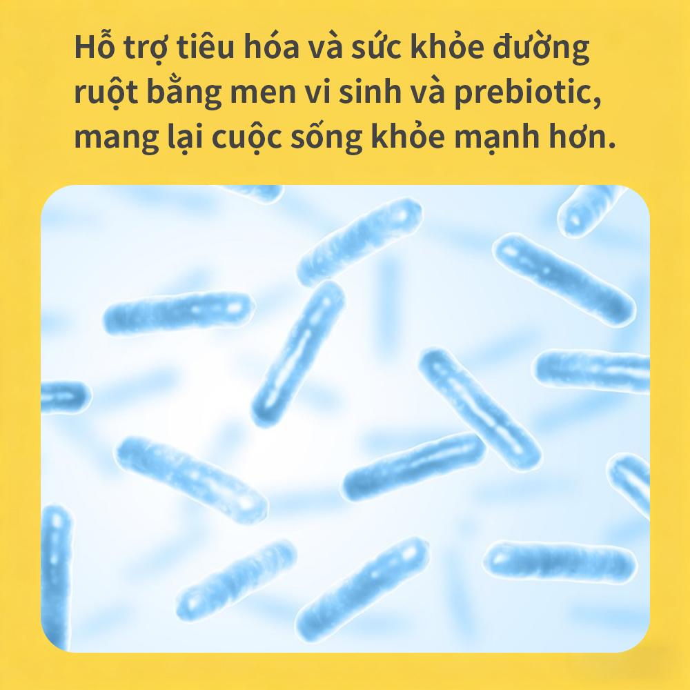Probiotics and prebiotics capsules with 4.4 billion CFU of active bacteria to protect intestinal health and enhance immunity 120 capsules