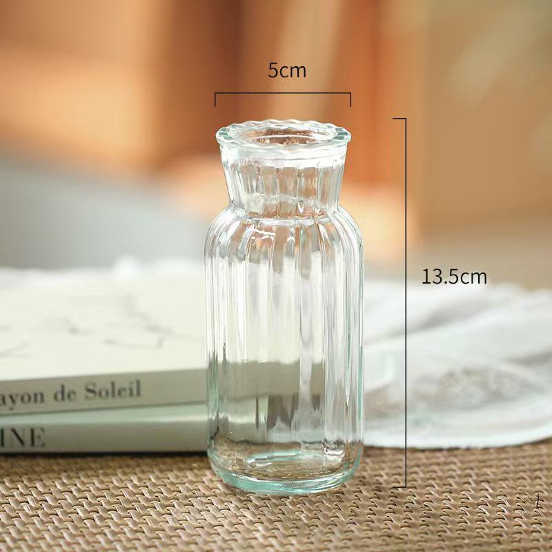 

European Glass Vase for Hydroponic Green Plants and Fresh Flowers - Small Desktop Ornament