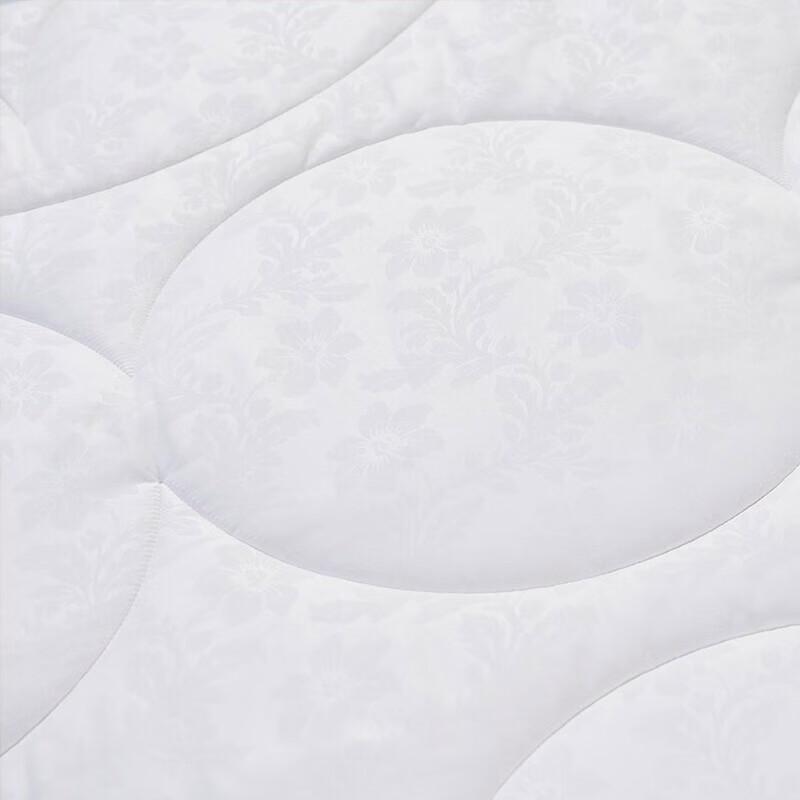 FUANNA Antibacterial All-Season 2-in-1 Soy Fiber Duvet