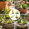Practical Frogs Sculpture Functioning As Ornament and Garden Decoration for Stylish Home and Garden Enhancement