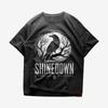 Shinedown Band Second Chance Schwarzes T-Shirt Volle Größe S-5XL Unisex T-Shirt