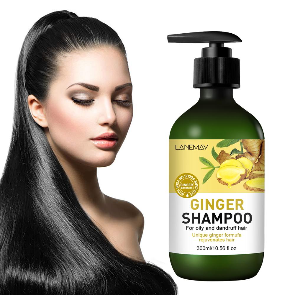 Ingwer-Shampoo – Tiefenreinigung und Fettentfernung – Macht die Haarwurzeln geschmeidiger – Für fettiges und schuppiges Haar