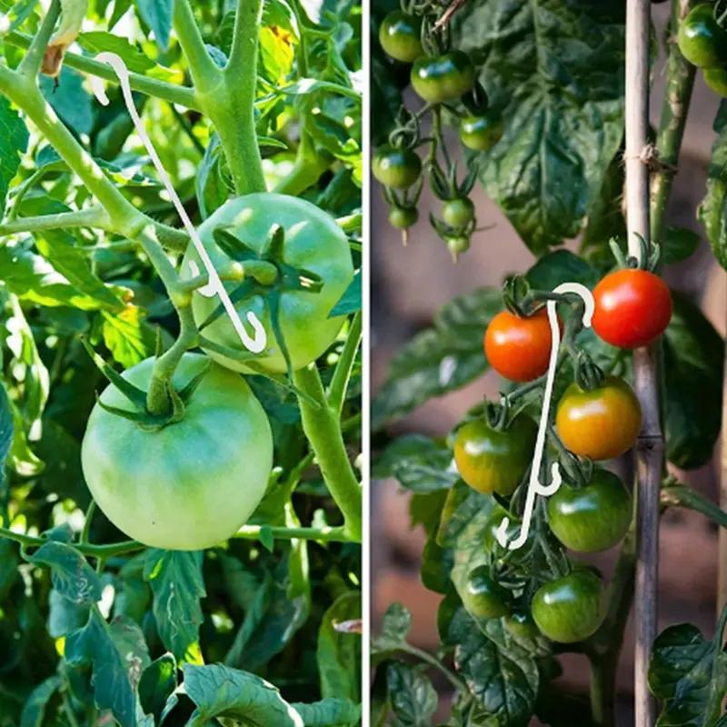 20 Stück Garten Gartenbau J-förmiger Ohrhaken Haken, Weintrauben- und Tomatenranken Befestigungsschnalle, Langlebiger Kunststoff Anti-Biege Astklammer