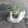 3Pcs Air Plant Holder Ceramics Airplants Holder Small Container Pots Hand Shape