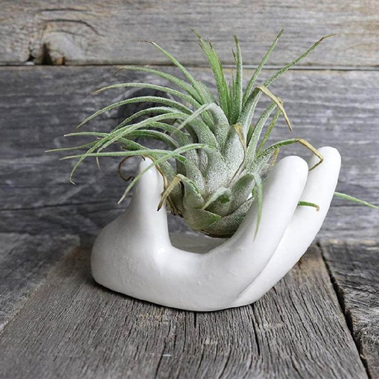 3Pcs Air Plant Holder Ceramics Airplants Holder Small Container Pots Hand Shape