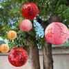 Chinese New Year Paper Lantern New Year 2025 Decoration Chinese Spring Festival Supplies The Year of Snake Hanging Lamp