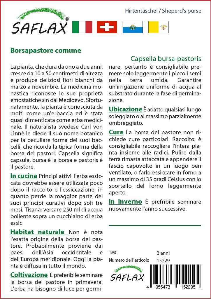 SAFLAX Garden In the Bag - Sheperd’s Purse - 1000 Seeds - With Substrate In a Fitting Stand Up Bag - Capsella Bursa-pastoris