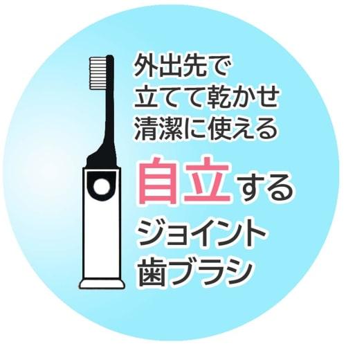 Skater Toothbrush Portable Travel Set Children Toothbrush Case Haburashi Maizen Sisters Girls Girls Going Out Elementary School Students Kindergarten