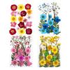 24Pcs Pressed Flower Mixed Dried Flowers Diy Art Floral Decors Collection Gift
