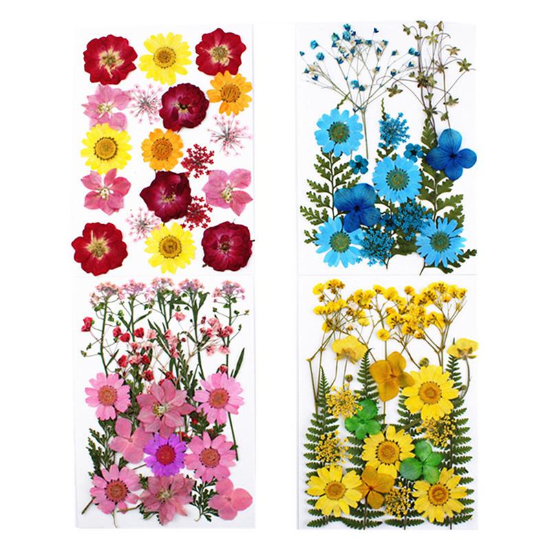24Pcs Pressed Flower Mixed Dried Flowers Diy Art Floral Decors Collection Gift