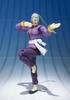 TAMASHII NATIONS Touhou Undefeated S.H.Figuarts