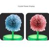 Science Experiment Crystal Planting Diy Creative Flower Shaped Crystal Tree Fun Parent-Child Experiment Set