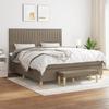3137329 vidaXL Divan Bed with Mattress Taupe 160x200 Cm Fabric