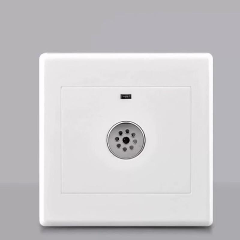 High-Power Voice-Activated Switch
