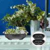 2 Pcs Flowerpot Succulent Planter Bonsai Pots Potted Large Garden Pp Office Indoor