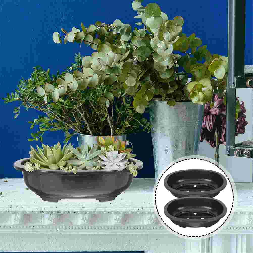 2 Pcs Flowerpot Succulent Planter Bonsai Pots Potted Large Garden Pp Office Indoor