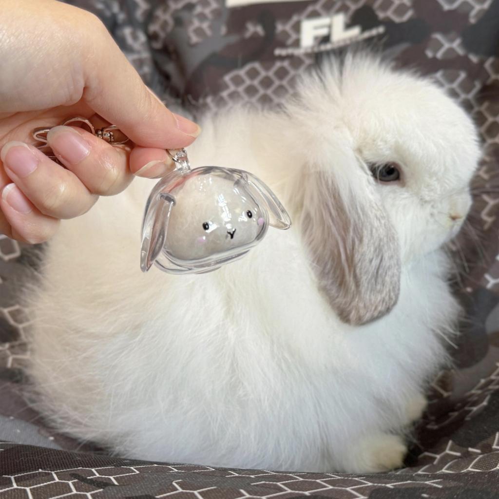 Clear Rabbit Shape Pet Hair Memorial Keychain Portable Keepsakes Storage Box Pendant With Tweezer For Pet Owners Gift