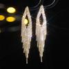 Geometric hollow long fringed earrings