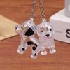 Clear Puppy Hair Memorial Keychain Capsule Pet'S Dog Fur Container Diy Pendant Keychain Decor Pet Lovers Home Display Gifts