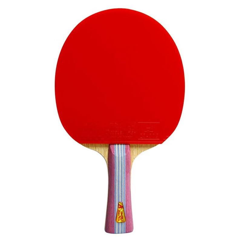 Double Fish 1-Star Beginner Table Tennis Racket
