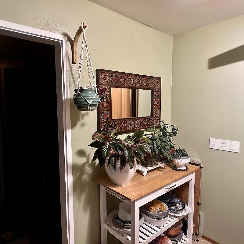 Minimalist Natural Wood Wall Plant Hanger Heavy Duty Hanging Flower Pot Hook for Modern Home Office Wall Decor