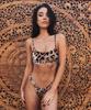 2020 Trendy Leopard Print Push-Up Bikini for Women