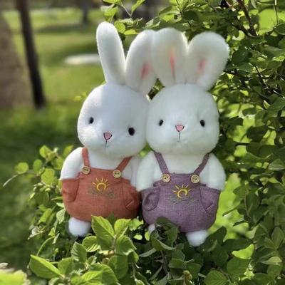 Schattig Zonlicht Konijn Pluche Speelgoed Zacht Gevuld Konijn Poppetje Kinder Cadeau Huis Decoratie