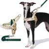Hunde – Hundehalsbänder & Leinen