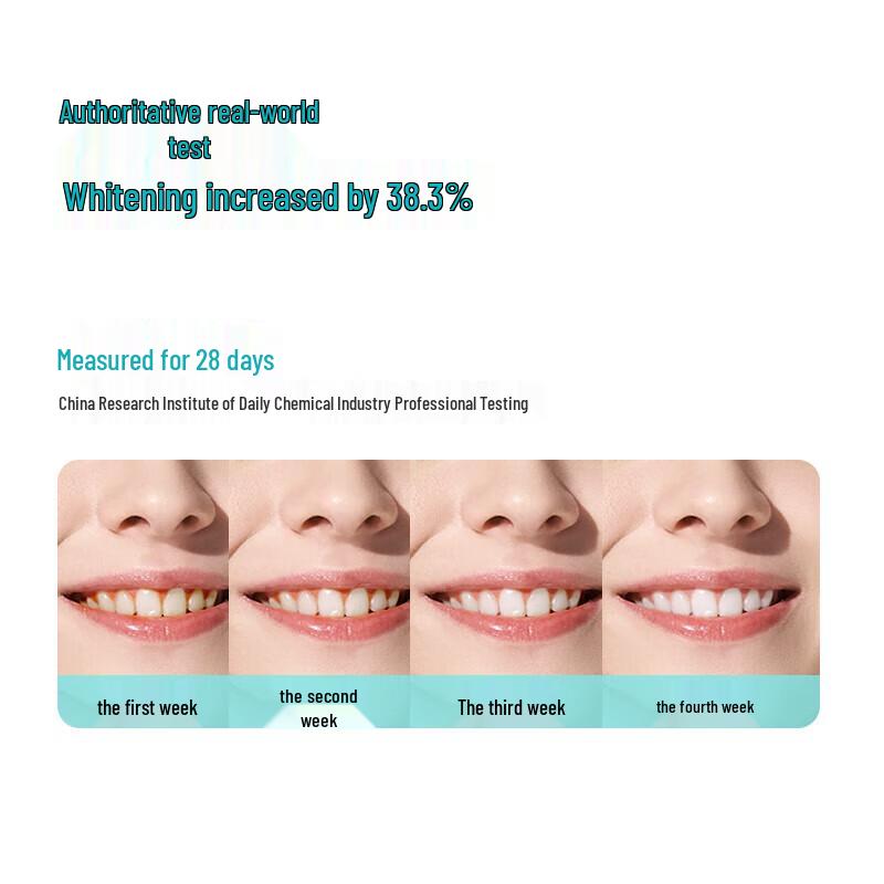 ROAMAN T10X-B Electric Toothbrush