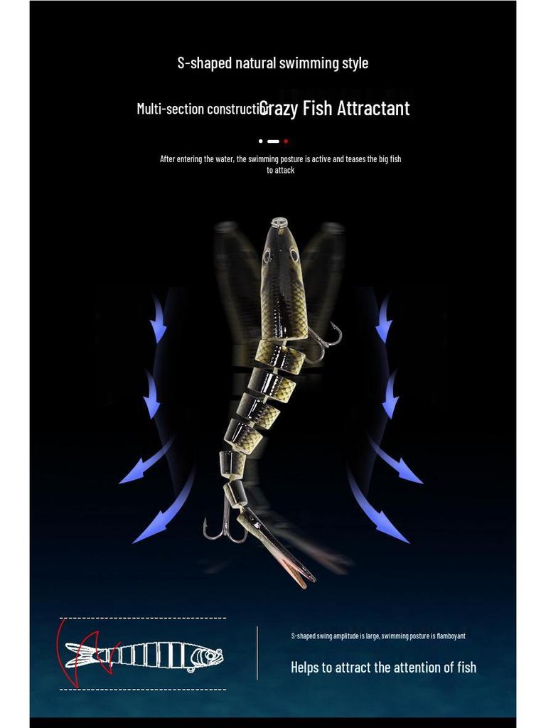 9-Section Bionic Loach Soft Bait Set: Long Cast, Slow Sinking, 10cm/10g, Realistic Fishing Lure