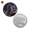 Monete Metalliche Commemorative Collezione Dinosauri, Intorno, Gioca con Medaglie Commemorative, Monete Attrazione Turistica