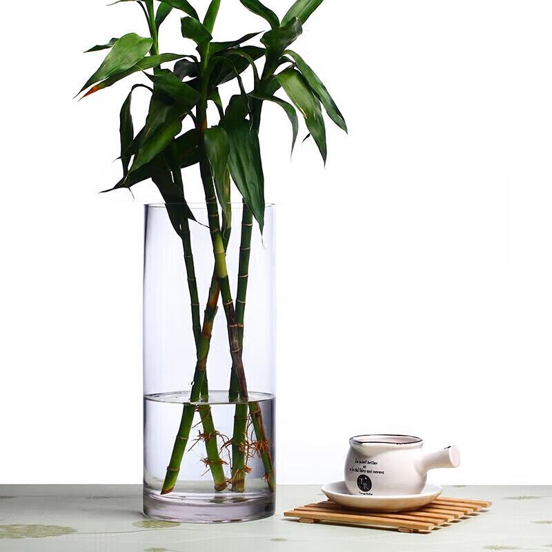 Decorative Glass Vases for Flower Arrangement