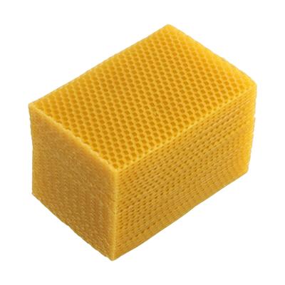30 Piezas Base de Colmena 9x13.2cm Cera de Abejas Base de Nido Herramientas de Apicultura