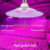 LED Grow Light for Indoor Plants and Vegetables – Perfect for Greenhouses, Succulents, and Strawberries