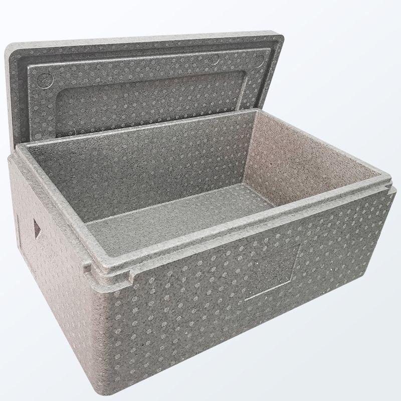 EPP Commercial Insulated Cooler/Warmer Box