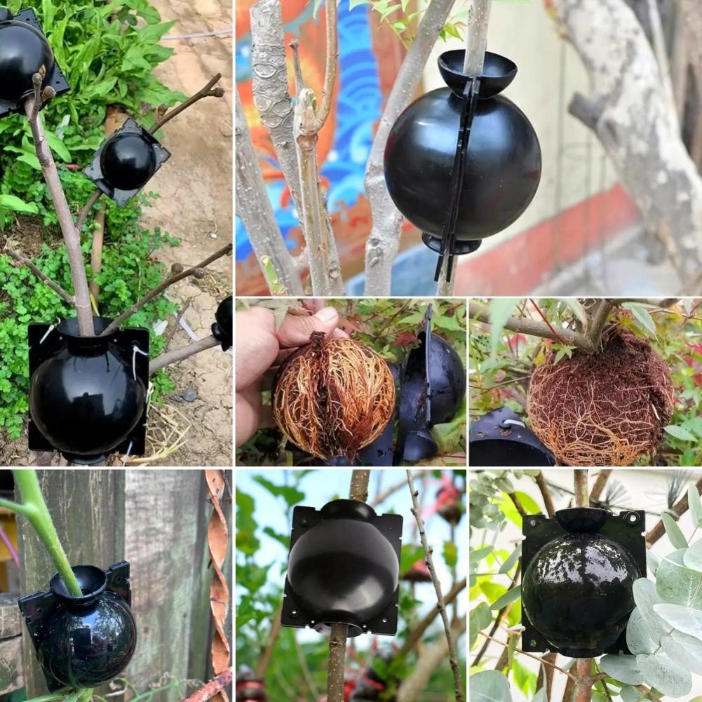 5/10PCS Plant Rooting Ball Reusable Root Growing Box Propagation Root Controller For Indoor Outdoor Plants Asexual Reproduction