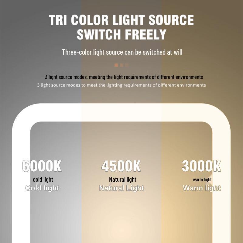 Oenyled Portable LED Makeup Mirror