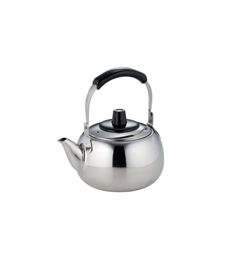 Kyusu Ichiban  Teapot with Handle and Tea Strainer, 500cc