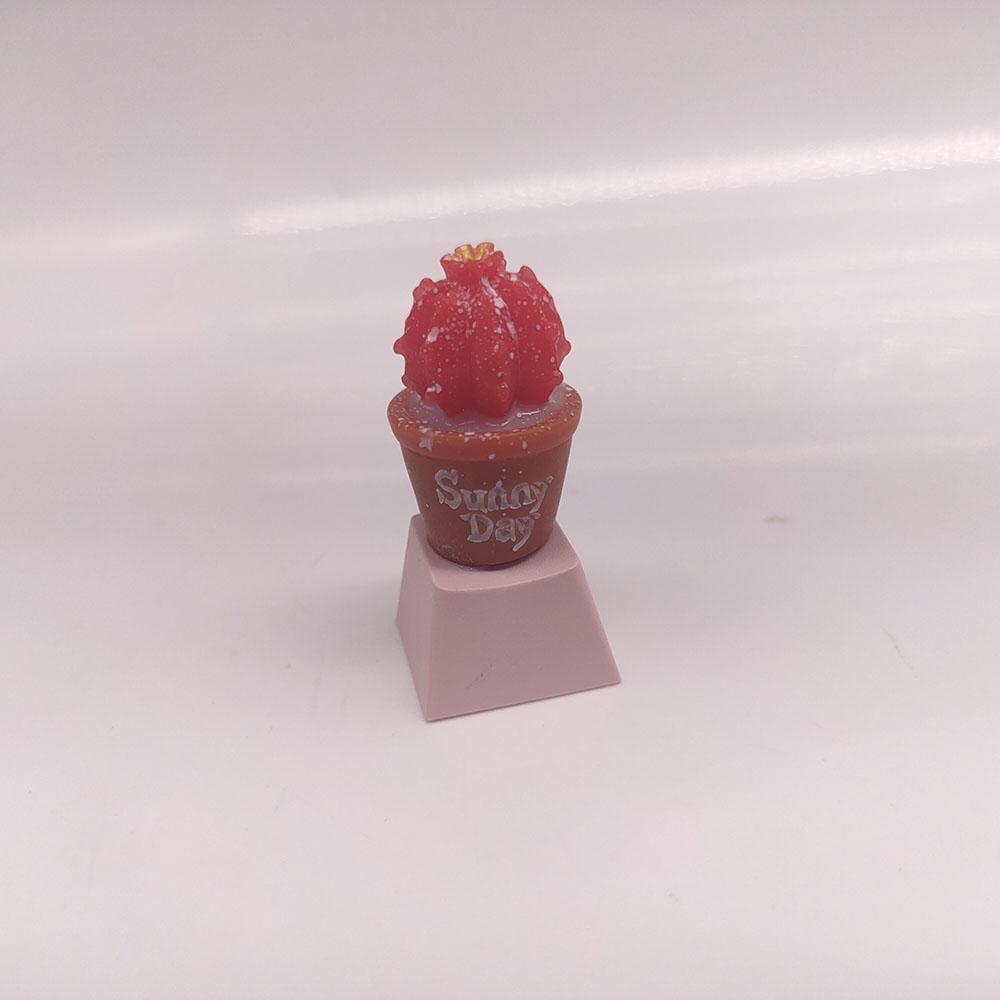 Klíčenky Cherry Profil PBT Klíčenka Anime Kawaii DIY Mechanická Klávesnice Krytky Herní Dekorace Předmět Příslušenství Roztomilý Klíč