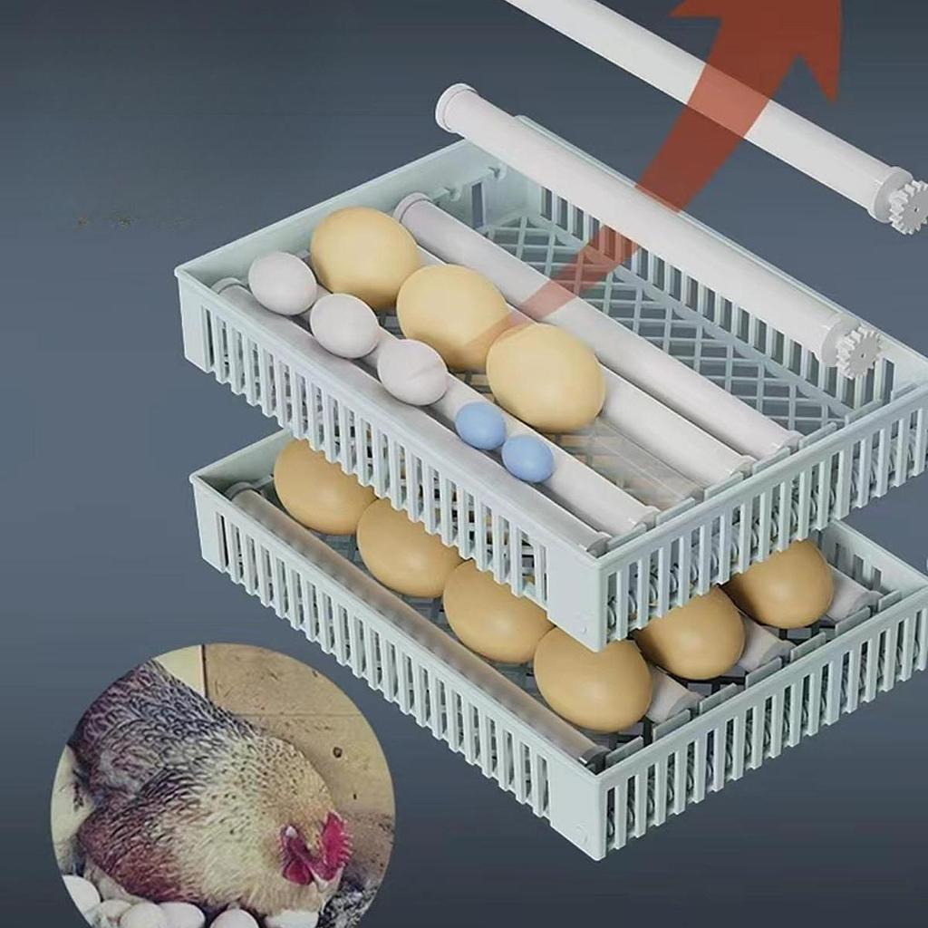 Egg Incubator for Hatching Eggs Automatic Turning Parrot Quail Goose 24