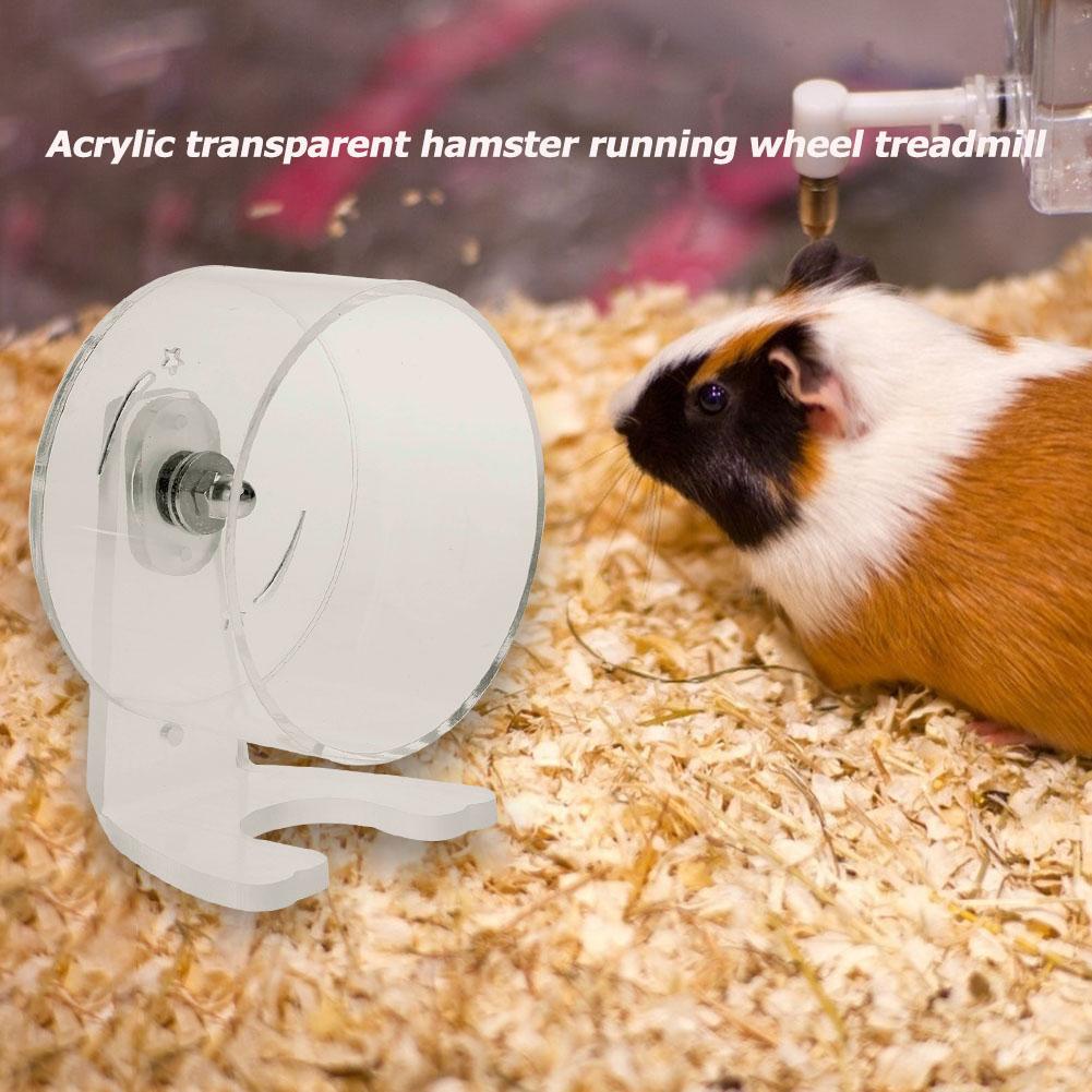hamster treadmill