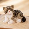 Garfield Cat Plush Toy & Comfort Pillow for Kids