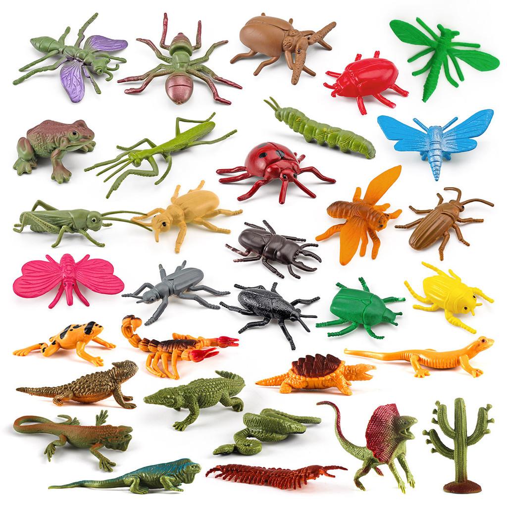 Miniature Insect Model Set With Pvc Material For Collectors And Educational Displays
