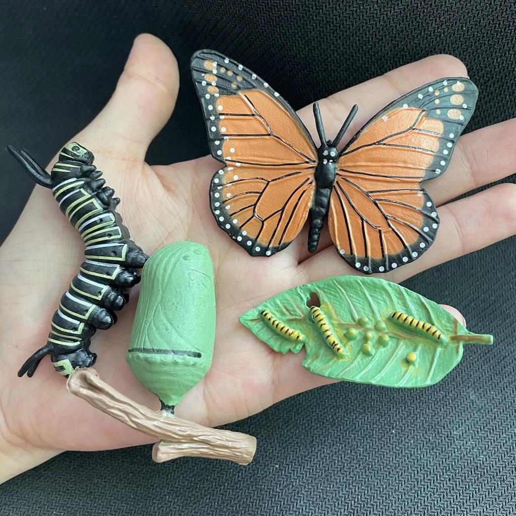 Children Simulation Biology Model Toy Animal Plant Life Growth Cycle Montessori Children Toys Set Teaching Aids Educational Toys