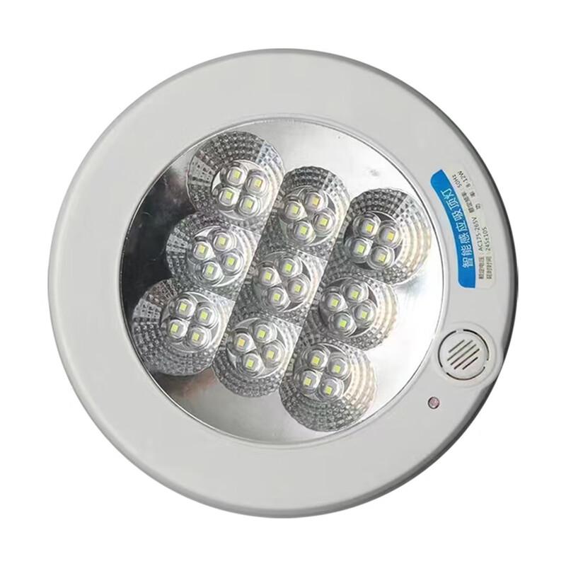 

Nu Feng LED Sound and Light Sensor Ceiling Light