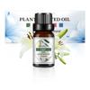 10ml Essential Oil Organic Plant 33 FLAVOR DIY Aromatherapy Plaster Candle Soap Making Aroma Fragrance Oil for Diffuser Sleep