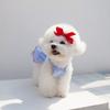 Thin Pet Princess Dress Lightweight Small Dogs Cats Dog Cat Clothes Breathable Outfit for Teddy, Bichon, French Bulldog