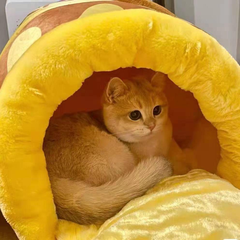 Calda Tana in Peluche Winnie the Pooh con Vasetto di Miele per Gatti e Cani - Design Carino Semi-Chiuso