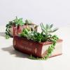 Book Shaped Flower Pot Plant Pot Vintage Decorative Flower Pot for Balcony Office Windowsill