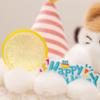 New Fruit Animal Cake Pillow Cartoon Toys Super Cute Dolls Cats Cookie Apple Adorable Home Decor Birthday Gifts for Boys Girls
